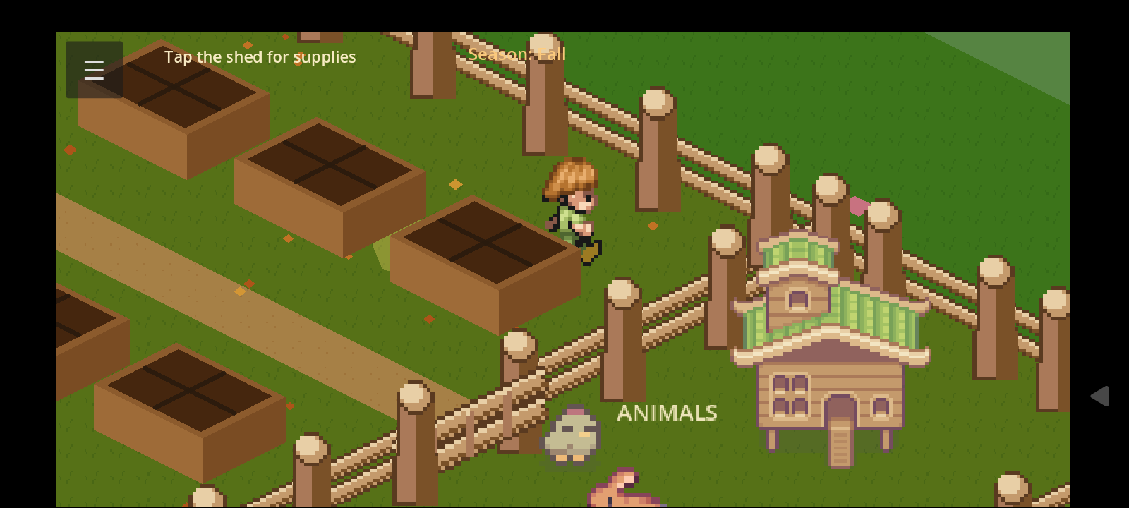 Fall season view of beds, path, and animal pen with chicken coop